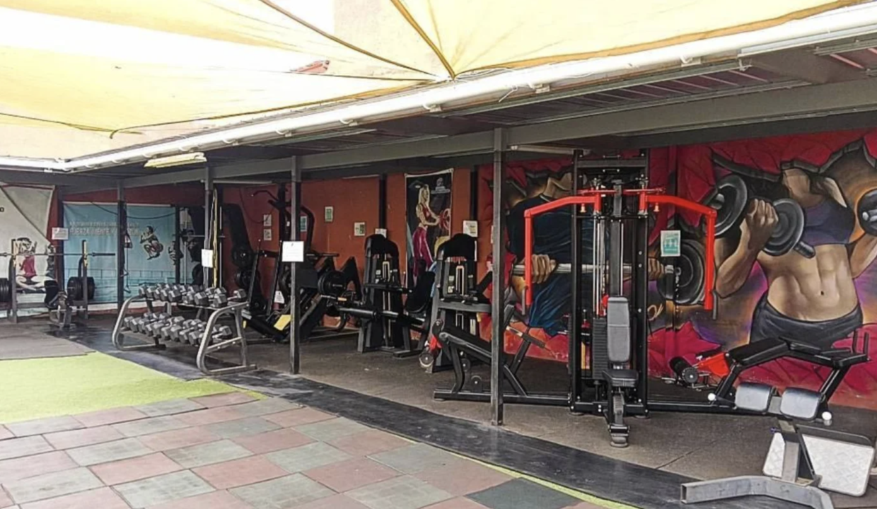 Captura de pantalla 2024-11-15 a la(s) 1.43.33 a. m.